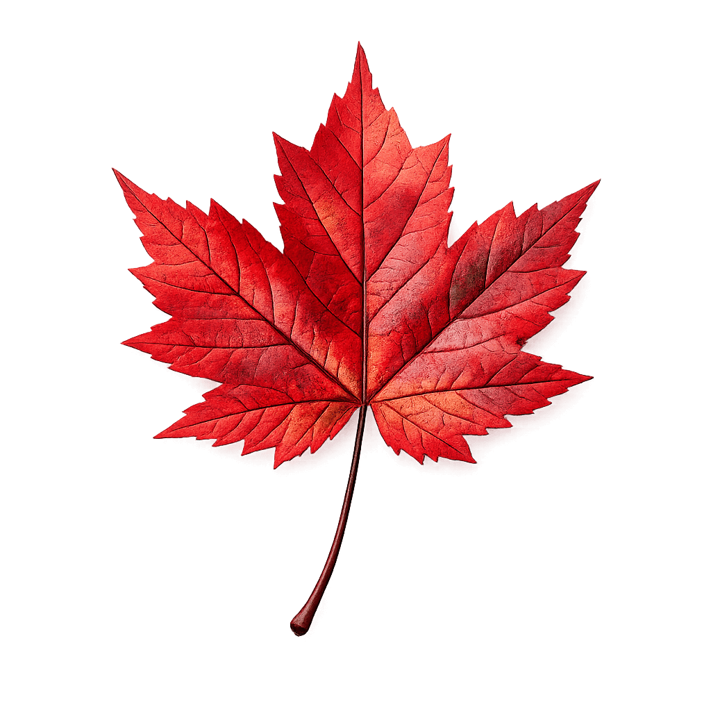 Canadian Red Leafs